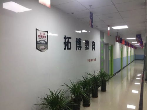 平湖市校外培訓(xùn)機(jī)構(gòu)白名單公布 聚焦藝術(shù)類營利性民辦機(jī)構(gòu)，為家長選擇保駕護(hù)航