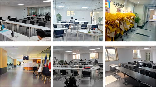 西安高性價比韓語考試與藝術(shù)類營利性民辦培訓(xùn)機(jī)構(gòu)選擇指南