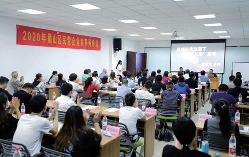 蜀山破局新生 七項經(jīng)濟(jì)指標(biāo)領(lǐng)跑合肥城區(qū)，藝術(shù)培訓(xùn)產(chǎn)業(yè)成新增長極